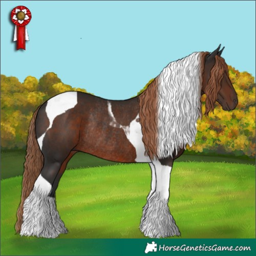 Horse Color:Liver Chestnut Tobiano Rabicano 