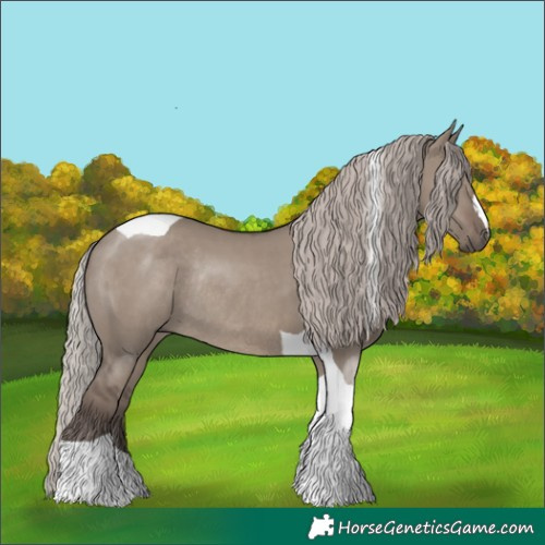 Horse Color:Silver Grullo Tobiano Rabicano
