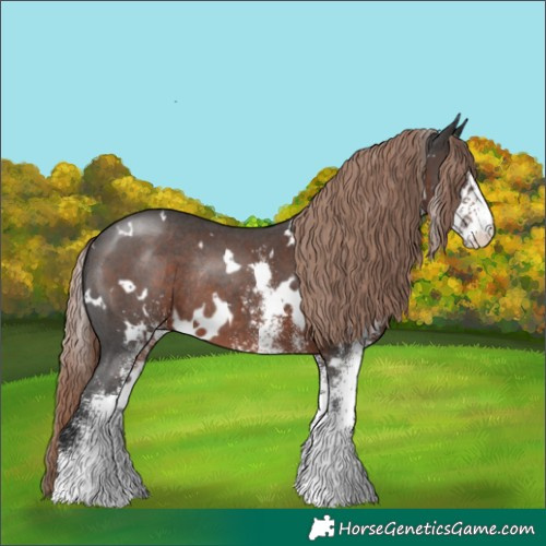 Horse Color:White Spotted Liver Chestnut Rabicano 