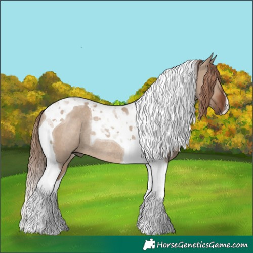 Horse Color:Liver Red Dun Tobiano Rabicano