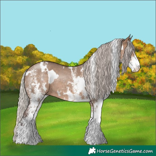 Horse Color:White Spotted Silver Brown Dun Rabicano