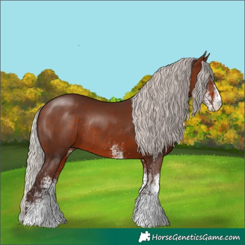 Horse Color:White Spotted Silver Brown Rabicano