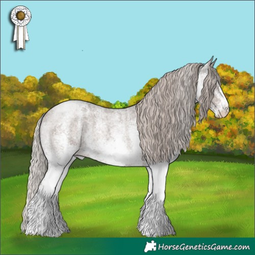Horse Color:White Spotted Silver Blue Roan Rabicano 