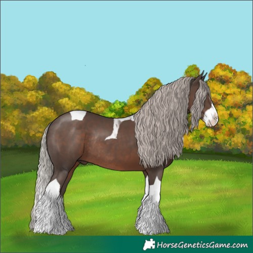 Horse Color:Silver Black Splash Tobiano Rabicano 