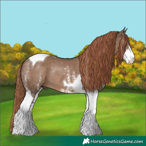 Horse Color:White Spotted Liver Red Dun Tobiano Rabicano