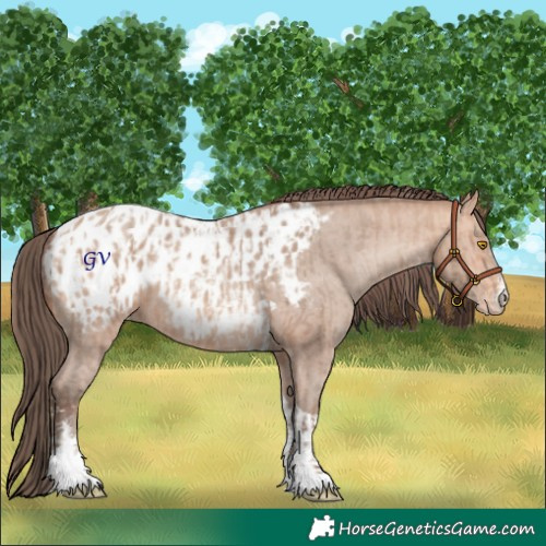 Horse Color:Amber Champagne Sabino Tobiano Appaloosa  and Amber Champagne Sabino Tobiano Appaloosa 
