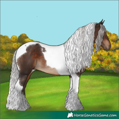 Horse Color:Silver Brown Tobiano
