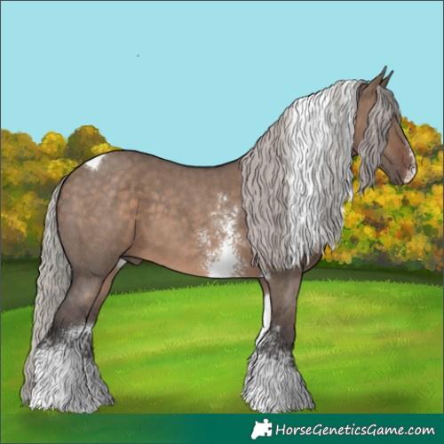 Horse Color:Silver Brown Dun Sabino Tobiano 