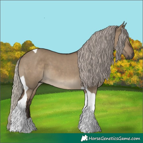 Horse Color:Gray Silver Grullo Tobiano