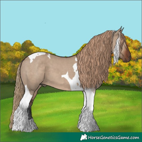 Horse Color:Liver Red Dun Tobiano