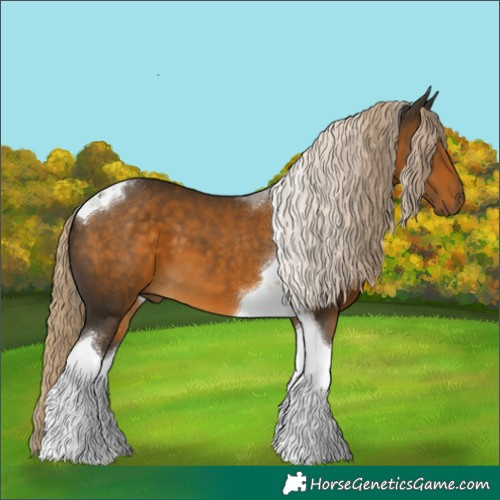 Horse Color:Chocolate Palomino Tobiano 