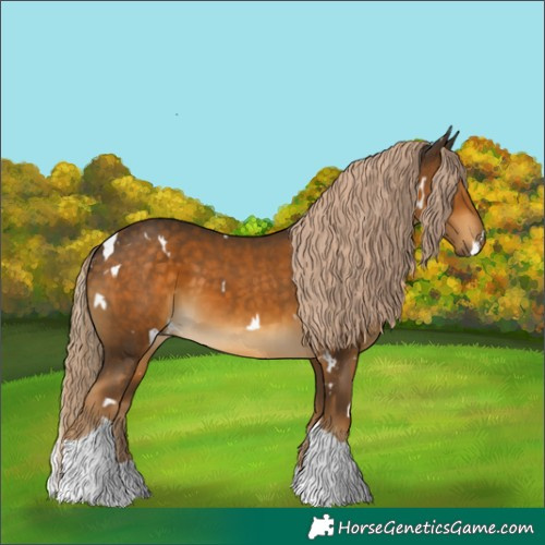 Horse Color:White Spotted Chocolate Palomino Tobiano