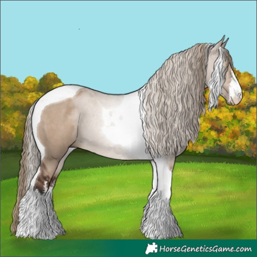 Horse Color:White Spotted Liver Red Dun Tobiano