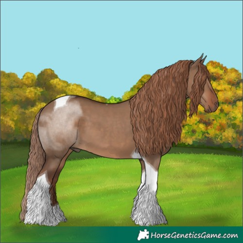 Horse Color:Liver Red Dun Tobiano 