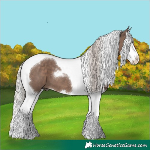 Horse Color:White Spotted Silver Black Splash Tobiano 