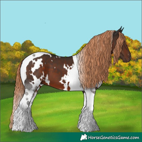 Horse Color:White Spotted Liver Chestnut Tobiano