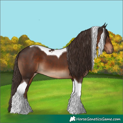 Horse Color:Liver Chestnut Tobiano