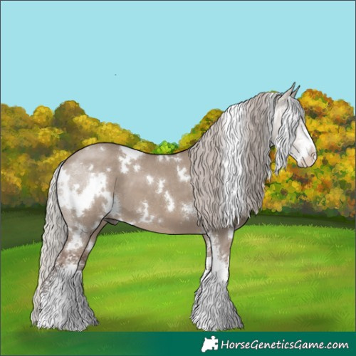 Horse Color:White Spotted Silver Grullo Sabino