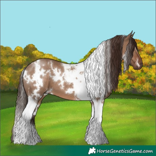 Horse Color:White Spotted Liver Red Dun Tobiano 