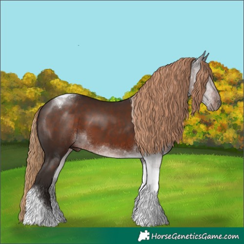 Horse Color:Liver Chestnut Tobiano 