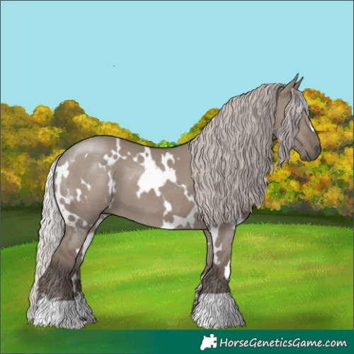 Horse Color:White Spotted Silver Grullo 