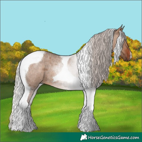 Horse Color:Silver Brown Roan Dun Tobiano