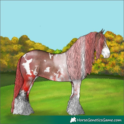 Horse Color:White Spotted Liver Red Dun Rabicano 
