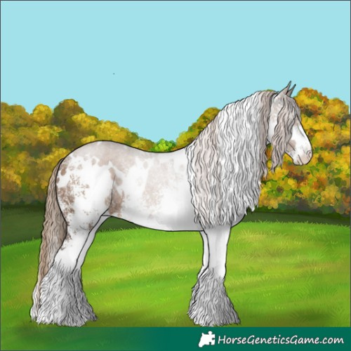 Horse Color:White Spotted Liver Red Dun Rabicano 