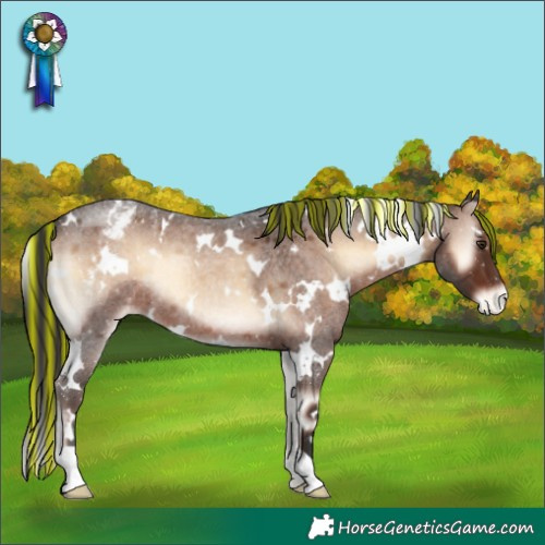 Horse Color:Painted White Spotted Liver Red Onyx Roan Appaloosa