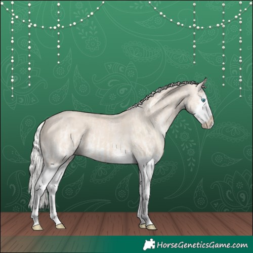 Horse Color:Cremello Splash and White Spotted Cremello Splash
