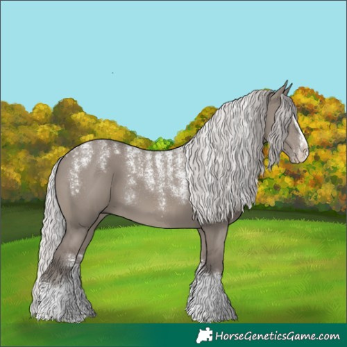Horse Color:Powder White Platinum Silver Grullo Splash 
