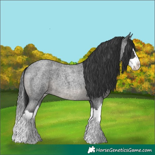 Horse Color:Platinum Blue Roan Splash 