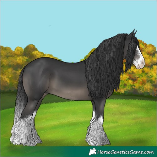 Horse Color:Black Splash 