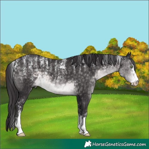 Horse Color:Powder White Platinum Buckskin 