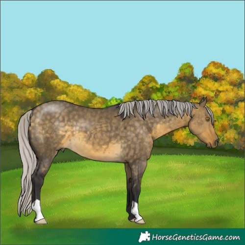 Horse Color:Silver Buckskin Dun
