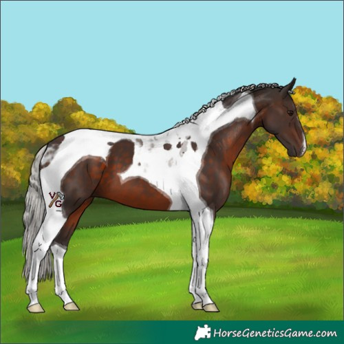 Horse Color:Silver Brown Tobiano