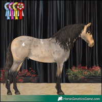 Horse Color:White Spotted Buckskin Roan 