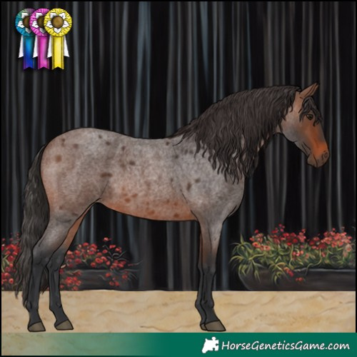 Horse Color:Brown Roan