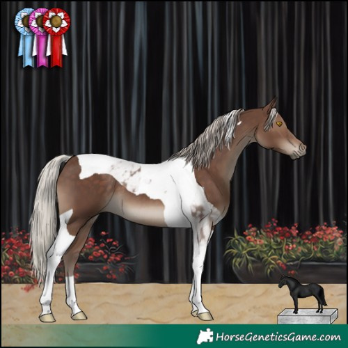 Horse Color:Silver Black Tobiano 