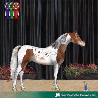 Horse Color:Silver Brown Tobiano