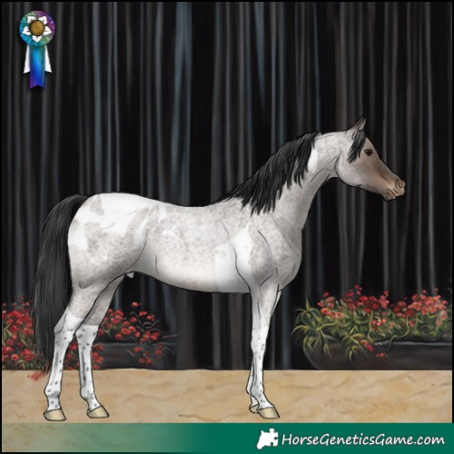 Horse Color:Brown Roan Dun Tobiano Appaloosa Rabicano 