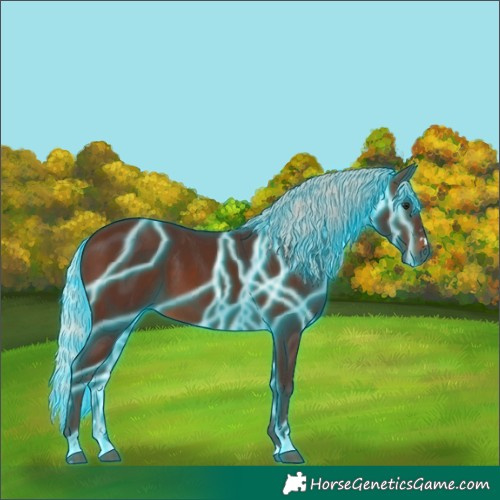 Horse Color:Thunderstruck Silver Brown