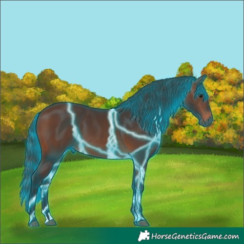 Horse Color:Thunderstruck Brown 