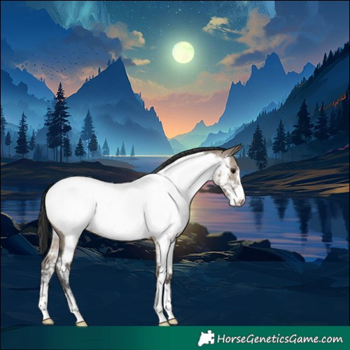 Horse Color:Brown Dun Sabino Appaloosa 