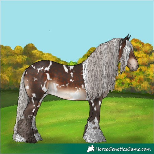 Horse Color:White Spotted Silver Brown