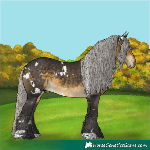 Horse Color:White Spotted Silver Buckskin 