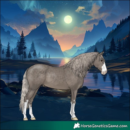 Horse Color:Silver Black Appaloosa