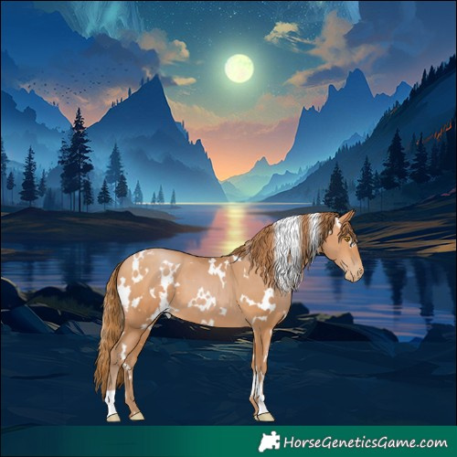Horse Color:White Spotted Bay Pearl