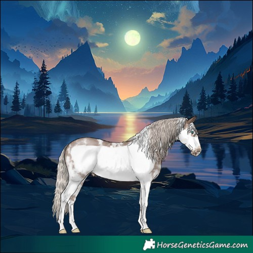 Horse Color:Silver Black Sabino Frame Rabicano 