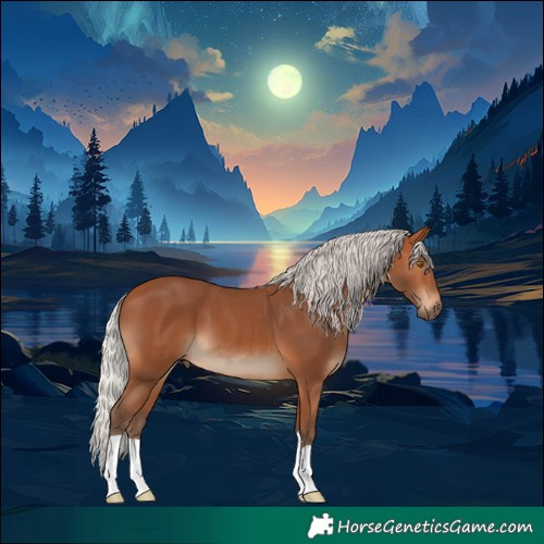 Horse Color:Silver Bay